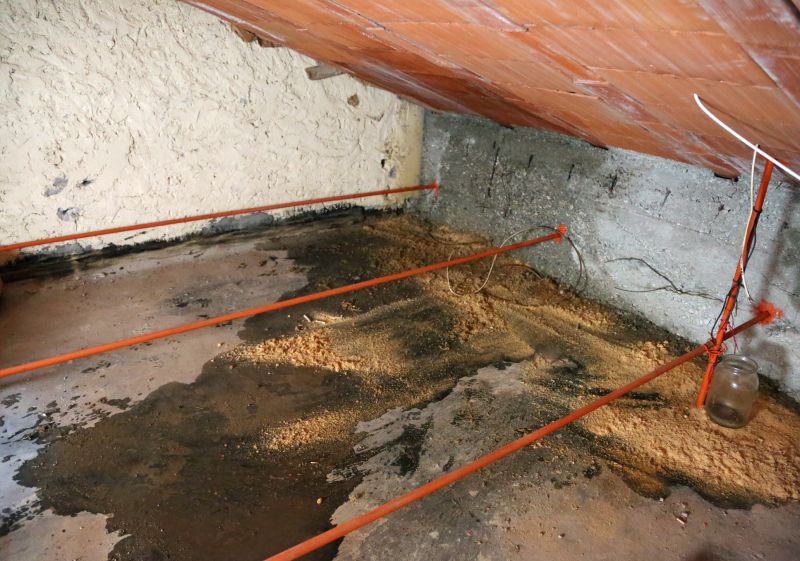 Roof Water Damage Repair