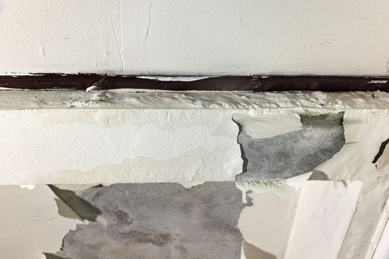 Roof Water Damage Repair