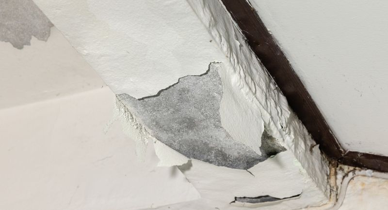 Roof Water Damage Repair