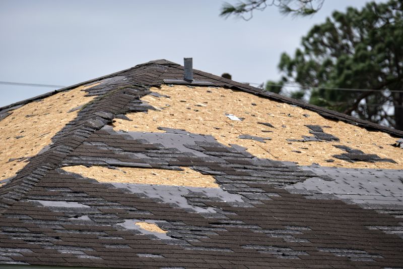 Damaged Roof Shingles