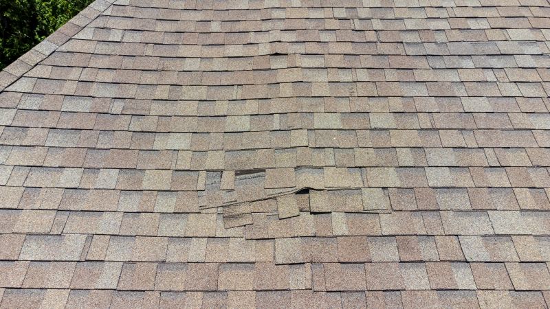 Damaged Roof Shingles