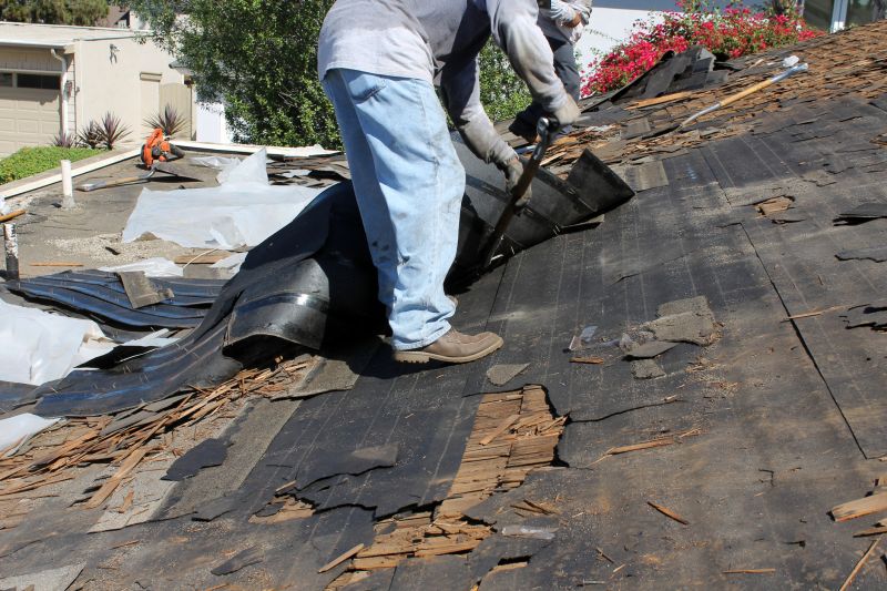 Prevents structural roof decay