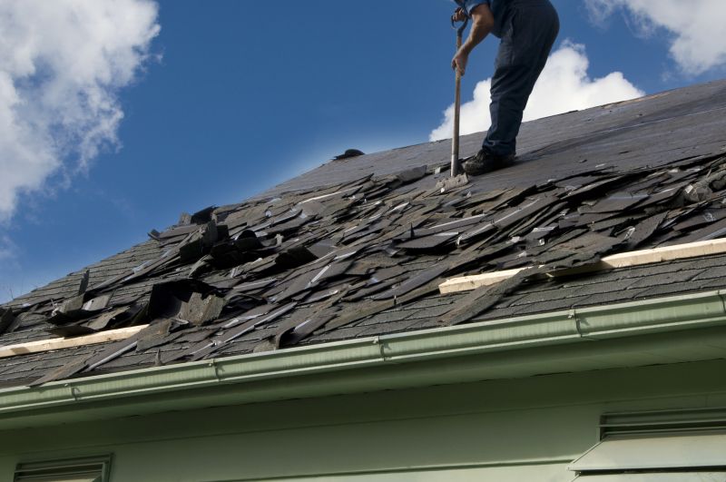 Stops mold and mildew spread